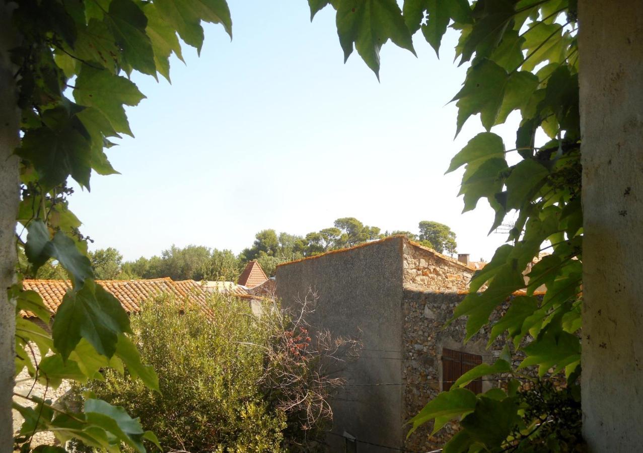Logis De La Meschaussee, Dans Donjon Du Xie Siecle Canet (Aude) Exterior foto